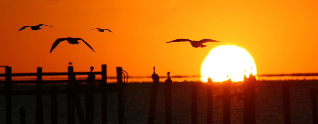 Video & Film Production